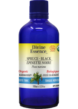 Divine essence - epinette noire