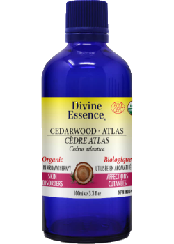 Divine Essence - Cèdre Atlas