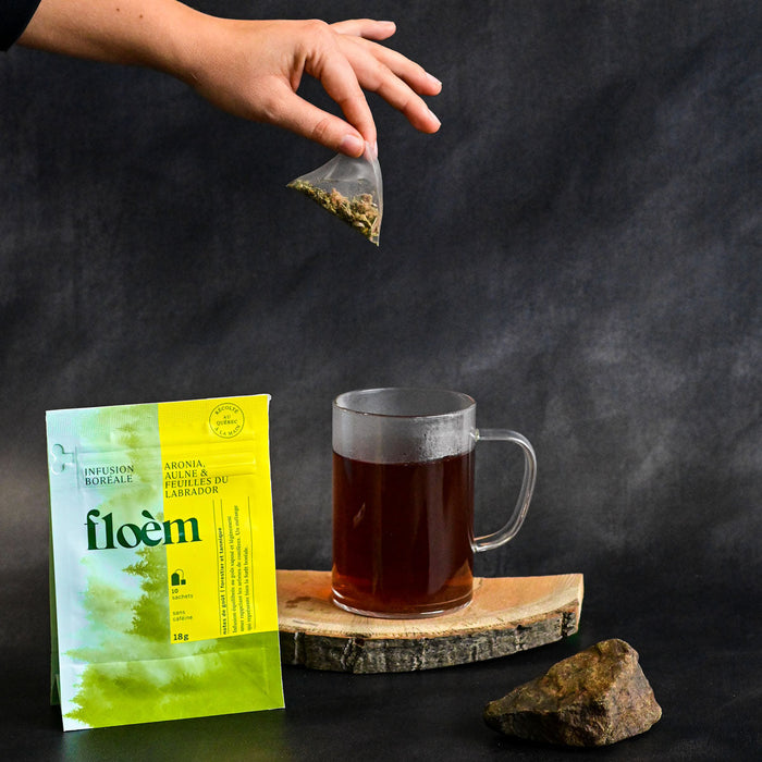 Sac d'infusion Aronia & aulne, main qui met sachet dans une tasse.