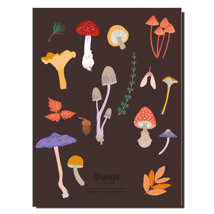 Cahier champignons