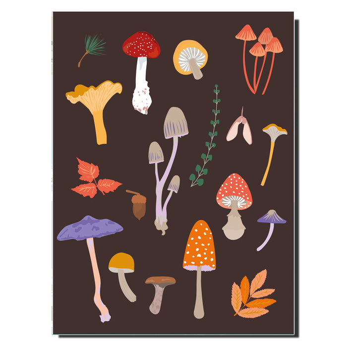 Cahier champignons