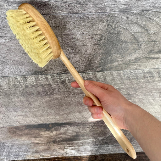 Brosse à champignons en bois – Eco Loco